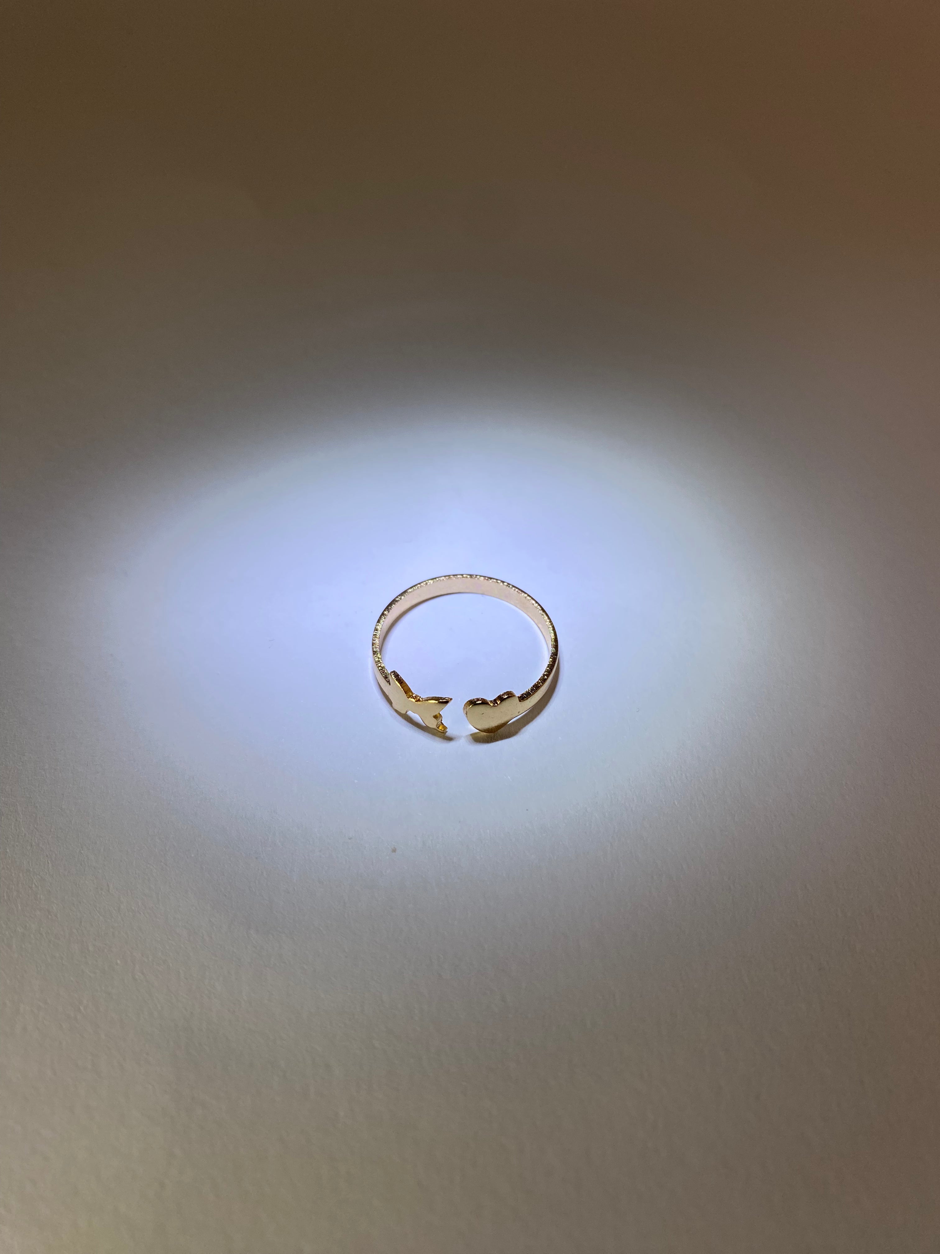 Rhodese Wing Gold Ring