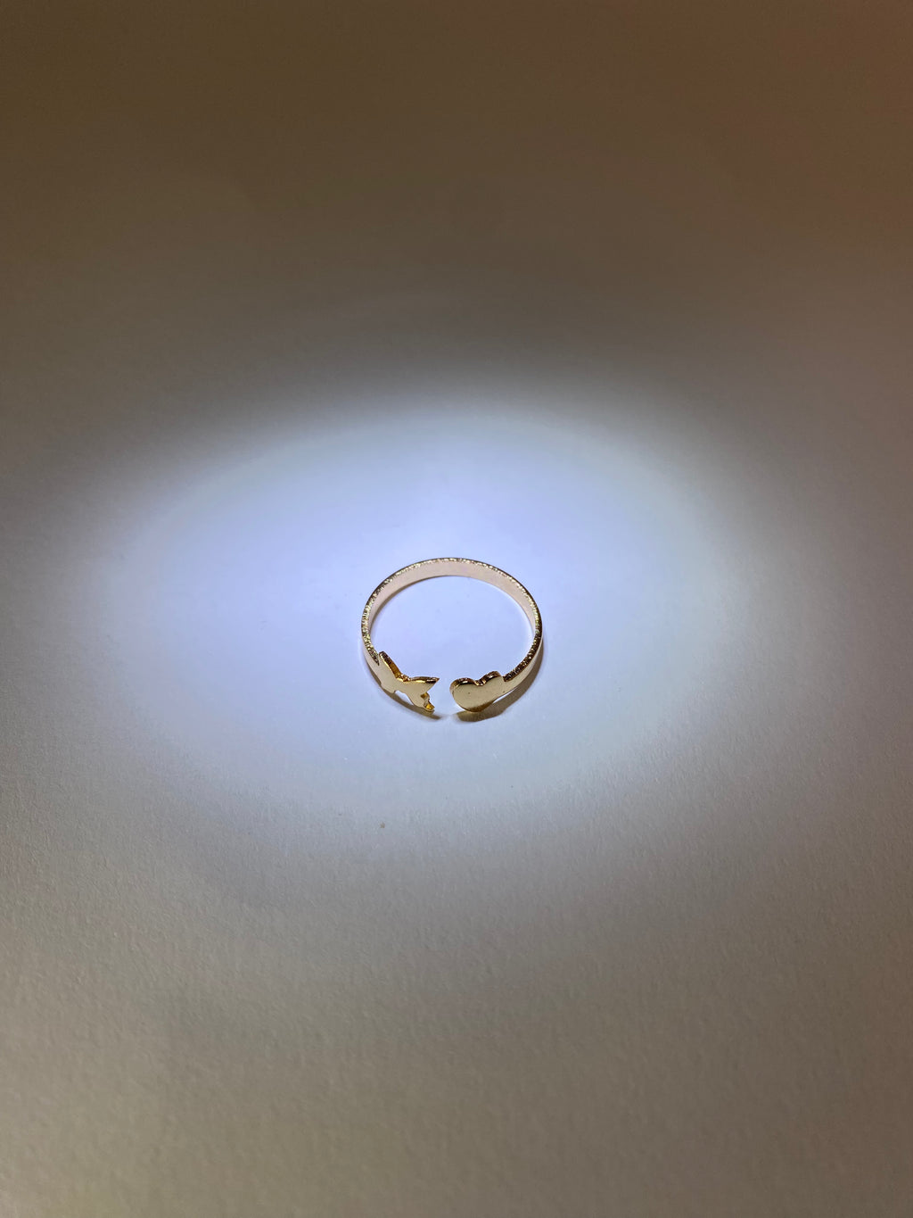 Rhodese Wing Gold Ring